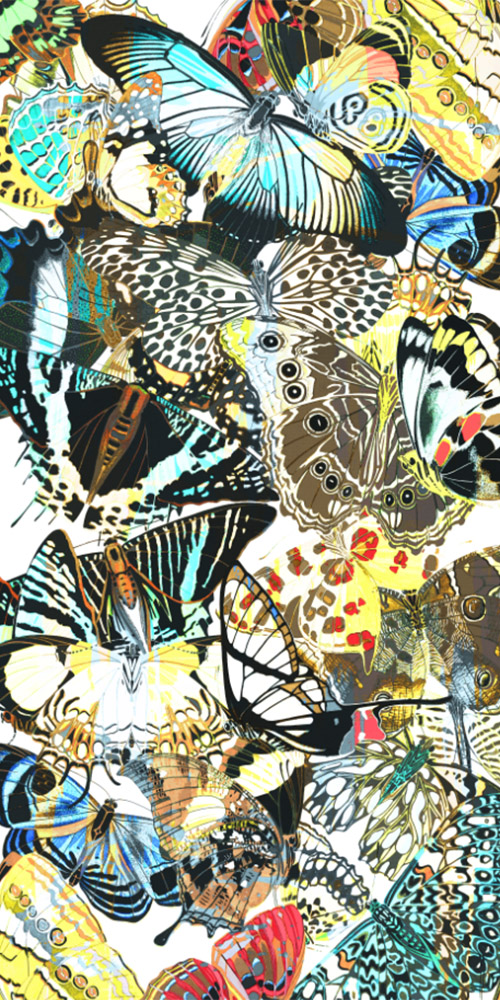 Geflügeltes Kaleidoskop