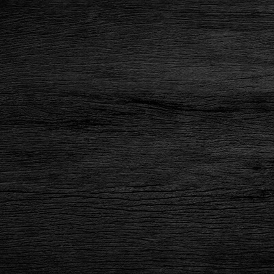 Schwarze Eiche