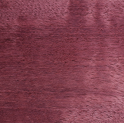 Purpleheart