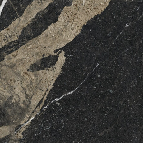 Glasierte Feinsteinzeugfliesen für den Boden, 60 x 120, schwarz mit goldenen Adern, glänzend, rektifiziert, A4H109 Pierre Black #28