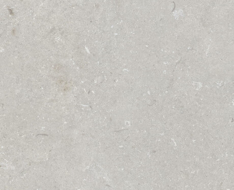 Feinsteinzeug für den Boden, 60 x 120 cm, hellgrau, matt, A4H1093 Shellstone Bianco