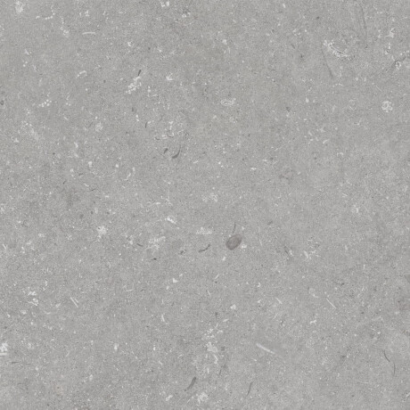 Feinsteinzeug für den Boden, 60 x 120 cm, grau matt, A4H1096 Shellstone Grigio #5