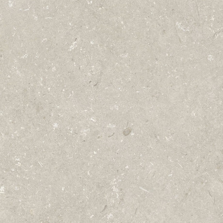 Bodenfliesen 60 x 120 cm, beige, matt, A4H1099 Shellstone Beige #4