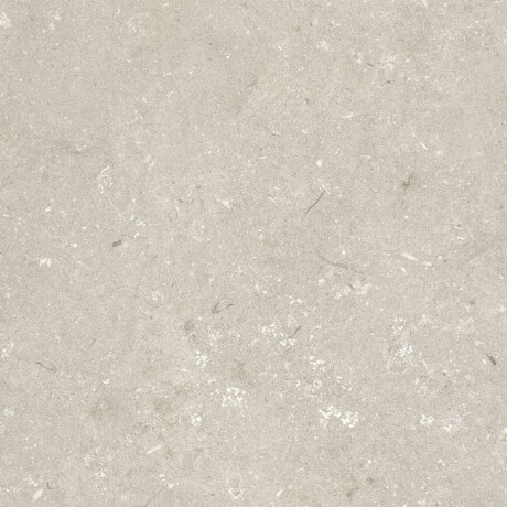 Bodenfliesen 60 x 120 cm, beige, matt, A4H1099 Shellstone Beige #5