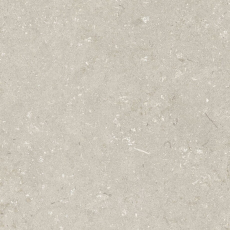 Bodenfliesen 60 x 120 cm, beige, matt, A4H1099 Shellstone Beige #6