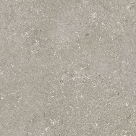 Feinsteinzeug für den Boden, 60 x 120 cm, taupe, matt, A4H1102 Shellstone Taupe #5