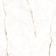 Fliesen für den Boden, 120 x 120, Marmor mit warmen Adern, matt, A4H496 Dubai Gold #4