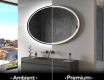Badspiegel mit LED Beleuchtung L227