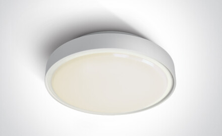 RAFTI AN Deckenleuchte 24 W, 3000 K, IP65, Anthrazit