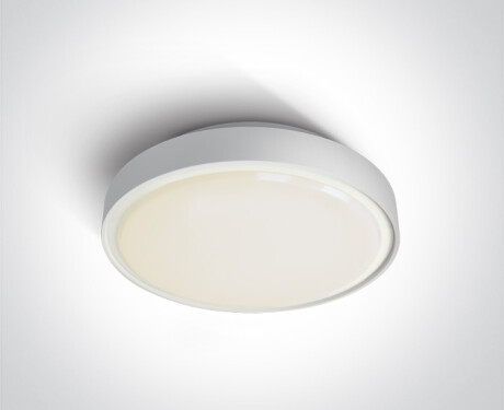 RAFTI AN Deckenleuchte 24 W, 3000 K, IP65, Anthrazit