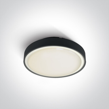 RAFTI E Deckenleuchte 12 W, IP65, Anthrazit #1