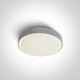 RAFTI N Deckenleuchte 16 W, 3000 K, IP65, Anthrazit #1