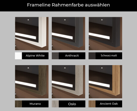 Spiegel mit Rahmen und LED Industrial Beleuchtung FrameLine L09 #2