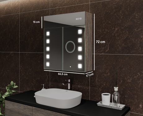 Spiegelschrank mit LED Beleuchtung - L03 Emily 66,5 x 72cm #2