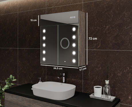 Spiegelschrank mit LED Beleuchtung - L06 Emily 66,5 x 72cm #2