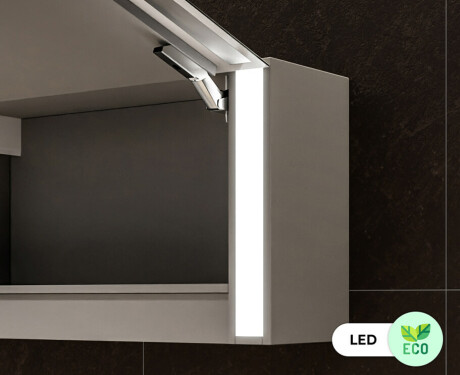 Spiegelschrank mit LED Beleuchtung Sofia 100 x 50cm #7